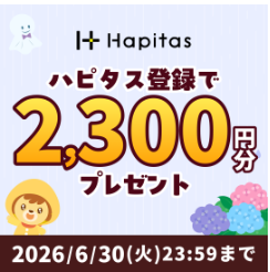 h20266